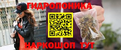 spice Канаш