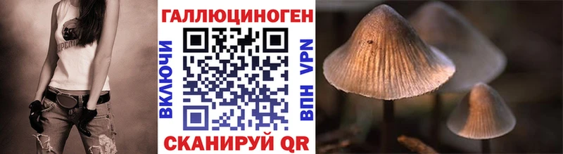 Галлюциногенные грибы мицелий  закладки  Кудымкар 